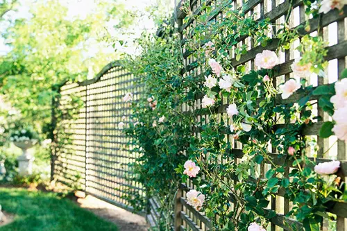 Idei decorative pentru garduri