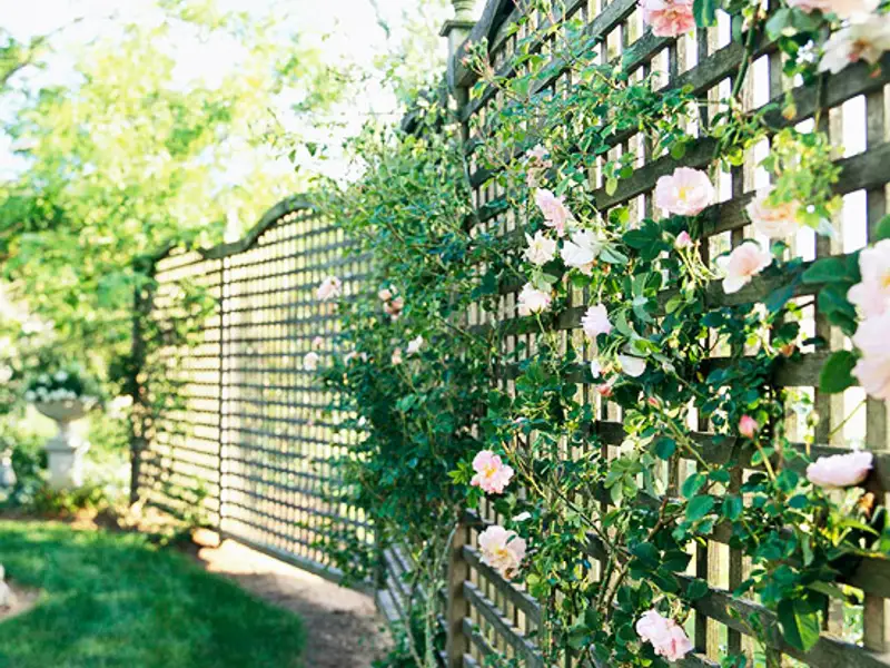 Idei decorative pentru garduri