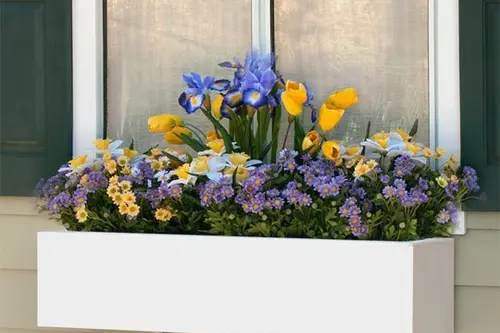 Jardiniere pentru amenajarea gradinilor de interior