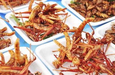 Produsele alimentare care conţin specii de insecte autorizate ca alimente noi vor fi prezentate în magazine în standuri separate, cu panouri de informare clare proiect