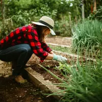 Tendințe în grădinărit: ce este la mod în acest sezon?