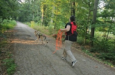Mantrailing – Misiunea Prietenilor Canini un demers dedicat iubitorilor de câini și sport