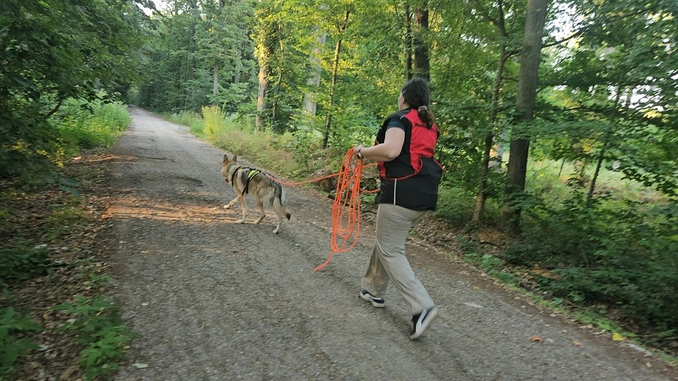 Mantrailing – Misiunea Prietenilor Canini un demers dedicat iubitorilor de câini și sport
