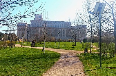 Doar 5 copaci replantați în Parcul Izvor din 2020. Lipsesc peste 300 pentru refacerea vegetației