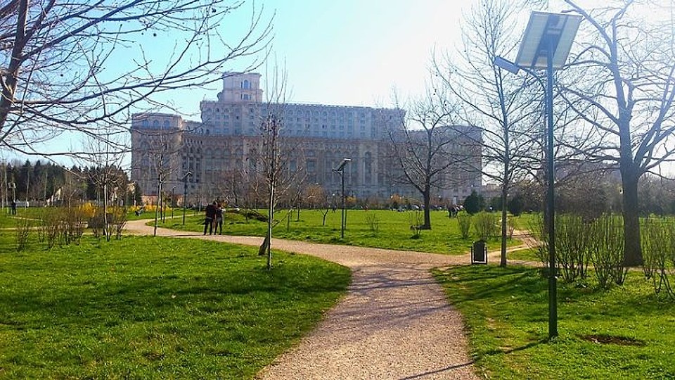 Doar 5 copaci replantați în Parcul Izvor din 2020. Lipsesc peste 300 pentru refacerea vegetației