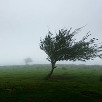 Ciclonul Byron mătură România. Alerte meteorologice emise de ANM