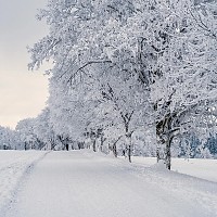 Prognoza meteo, 5 ianuarie. Vreme instabilă la început de săptămână. Ninsori, viscol și ceață în mai multe județe