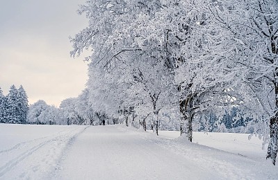 Prognoza meteo, 5 ianuarie. Vreme instabilă la început de săptămână. Ninsori, viscol și ceață în mai multe județe