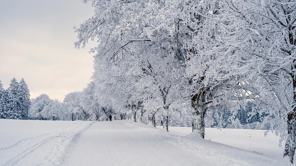 Prognoza meteo, 5 ianuarie. Vreme instabilă la început de săptămână. Ninsori, viscol și ceață în mai multe județe
