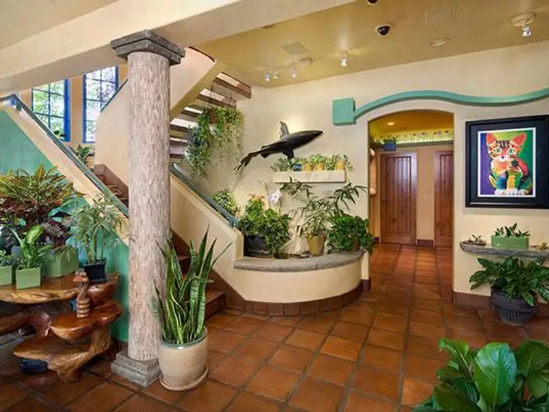 Casa amenajata pentru pisici