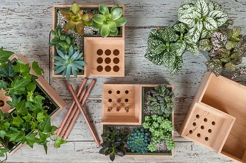 Design multifunctional: ghiveci de flori cu suport pentru creioane