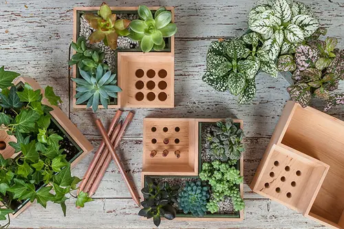 Design multifunctional: ghiveci de flori cu suport pentru creioane