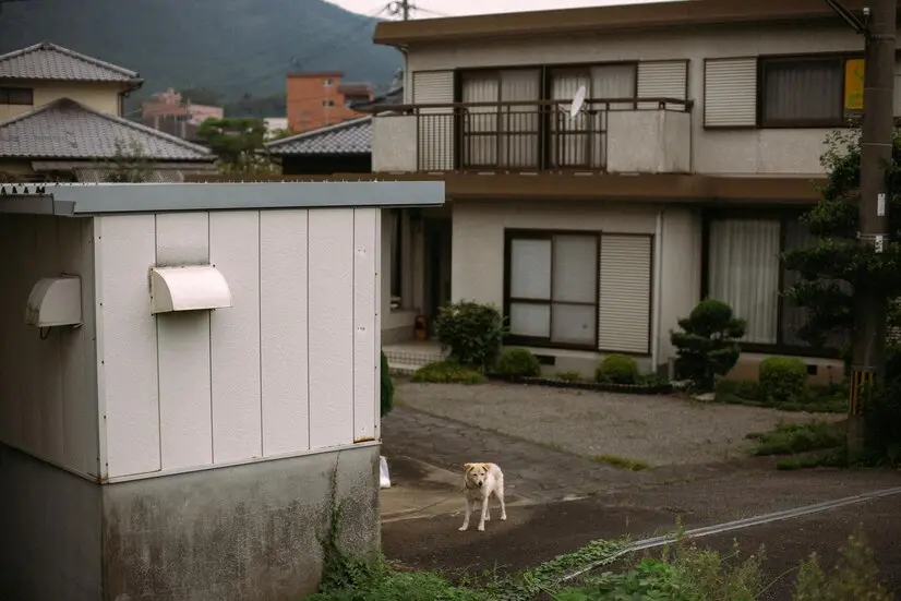 Cum construiești o anexă gospodărească- etape importante