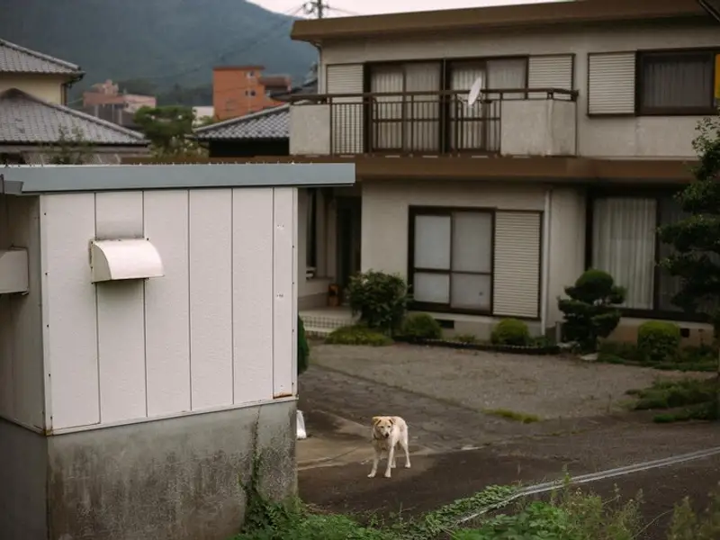 Cum construiești o anexă gospodărească- etape importante