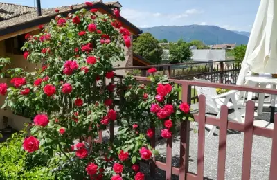 The Fence and Its Role in Terrace Design