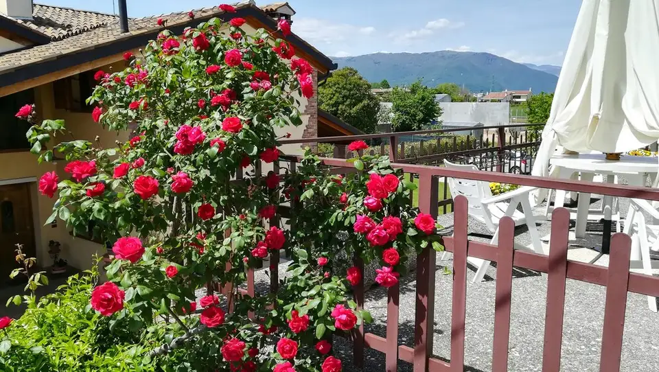 The Fence and Its Role in Terrace Design