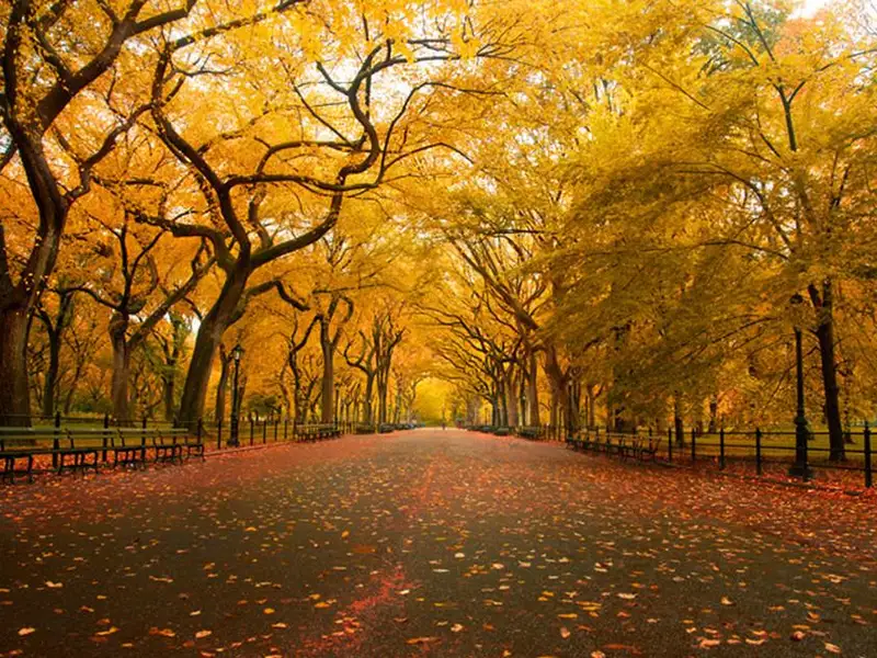 Inspira-te din cele mai frumoase peisaje naturale din lume!