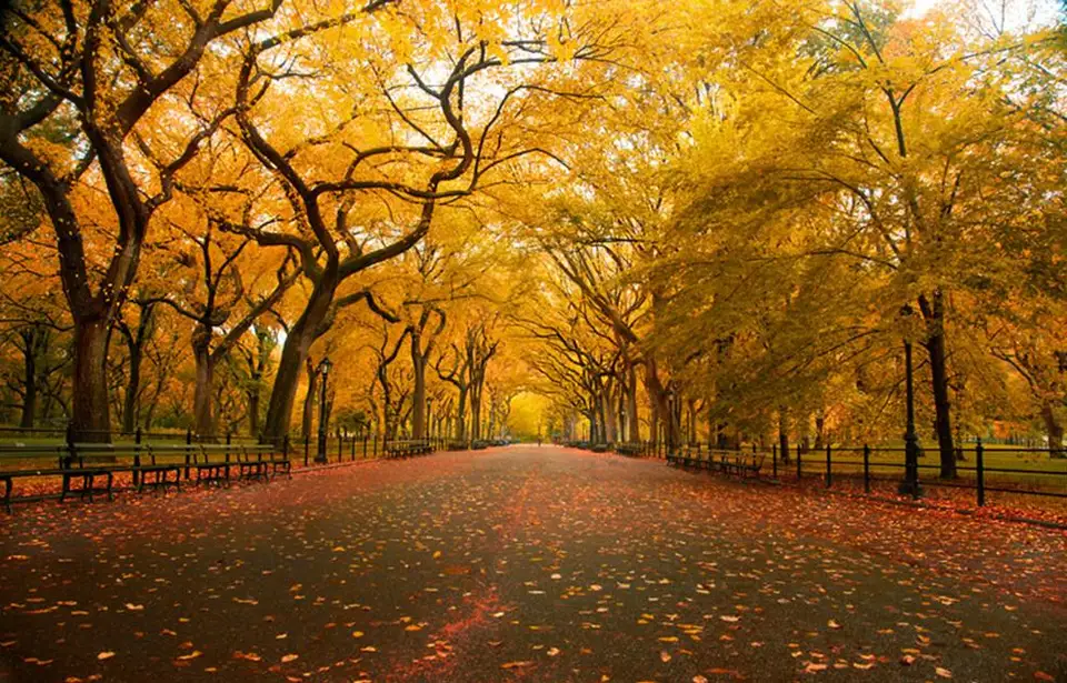 Inspira-te din cele mai frumoase peisaje naturale din lume!