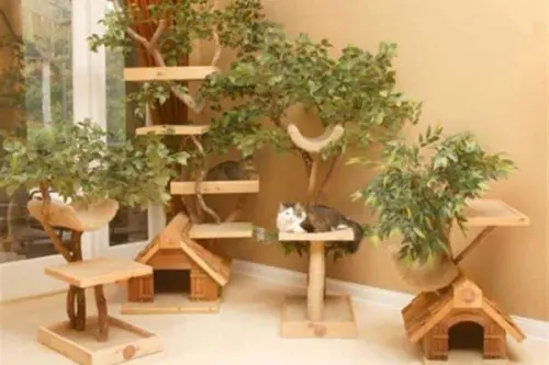 DIY: Mobilier rezistent la animalele de companie