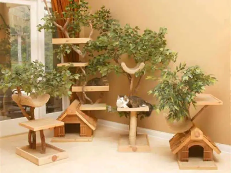 DIY: Mobilier rezistent la animalele de companie