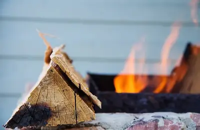 Wood-Fired Boilers: Advantages and Disadvantages