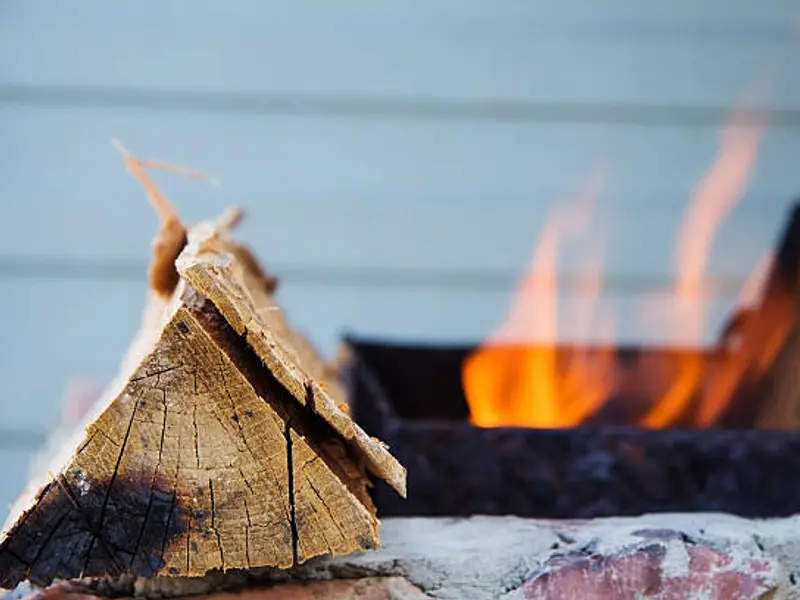 Centrala pe lemne: Avantaje și dezavantaje