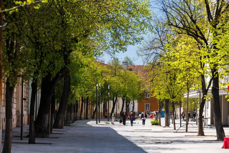 Primarul Emil Boc a pornit o amplă campanie din dorința de a arăta că orașul este verde, nu plin de betoane