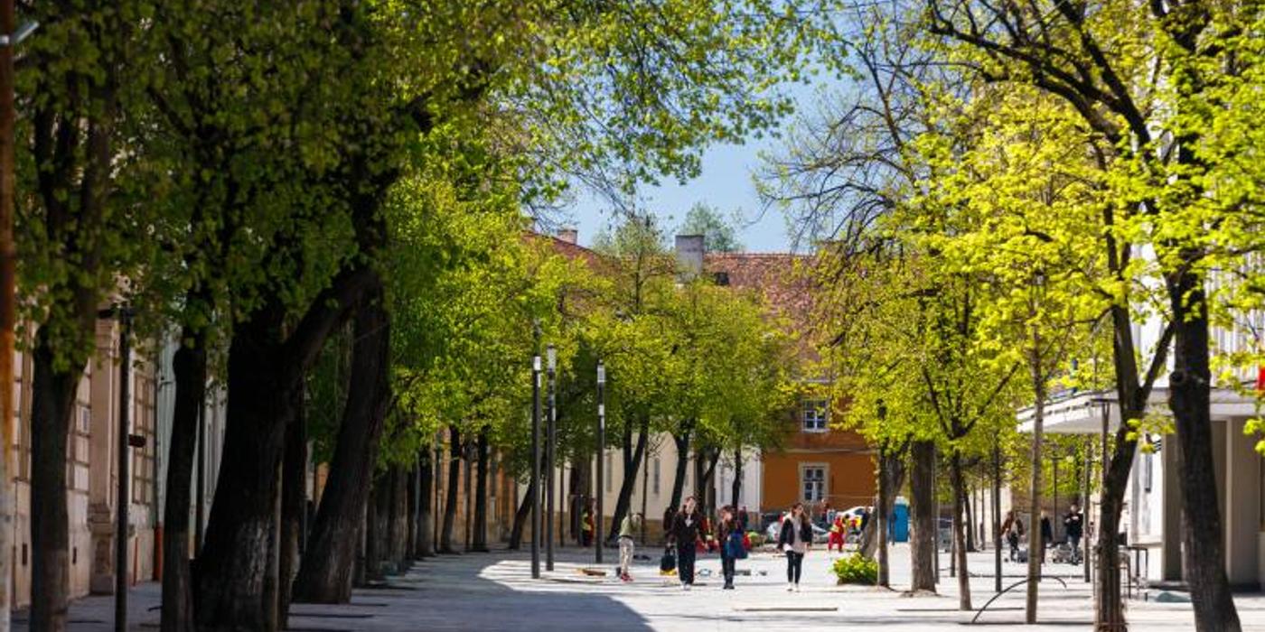 Primarul Emil Boc a pornit o amplă campanie din dorința de a arăta că orașul este verde, nu plin de betoane