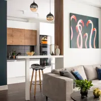 Culori inchise in amenajarea unui apartament de 2 camere si 50 mp