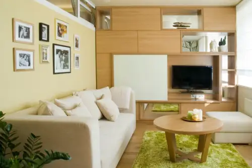 Natura prinde viata in 36 de metri patrati