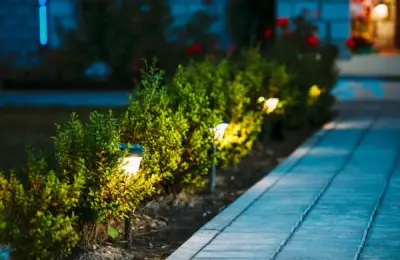 Modern Lighting Solutions for a Magical Garden