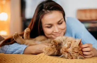 The Benefits of Having a Cat or Dog in the Family: Health, Socialization, and Happiness