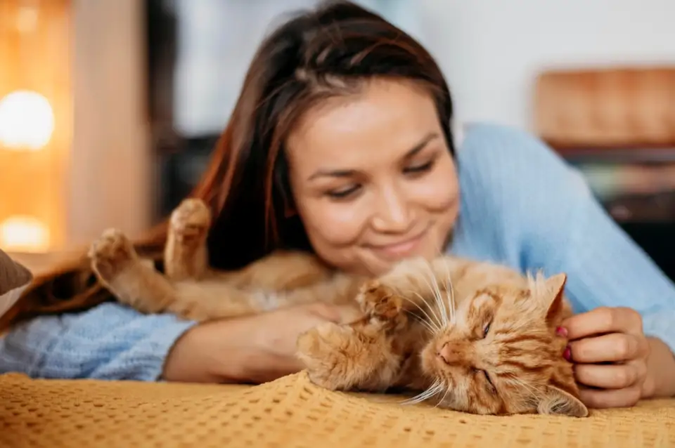 The Benefits of Having a Cat or Dog in the Family: Health, Socialization, and Happiness