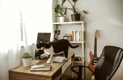 Cele mai frecvente greșeli de design interior și cum să le eviți