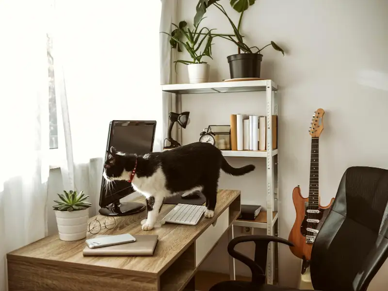 Cele mai frecvente greșeli de design interior și cum să le eviți