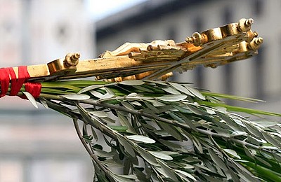 Calendarul zilei: Intrarea Domnului în Ierusalim, Duminica Floriilor