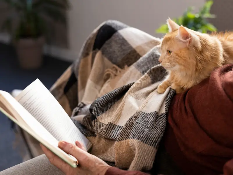 Cum să creezi un colț de lectură perfect în casa ta