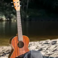 De ce muzica este un factor important pentru ambientul din casă