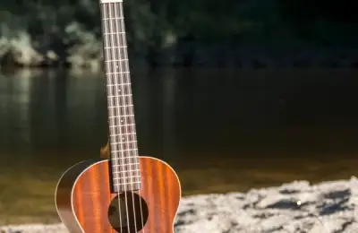 De ce muzica este un factor important pentru ambientul din casă