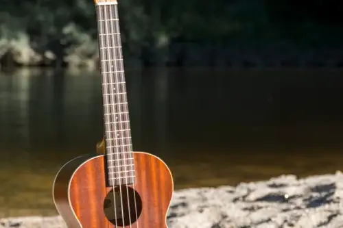 De ce muzica este un factor important pentru ambientul din casă