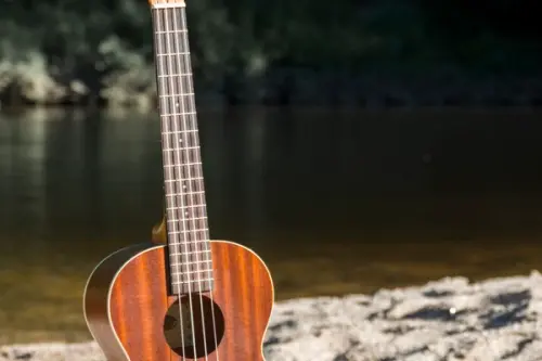 De ce muzica este un factor important pentru ambientul din casă