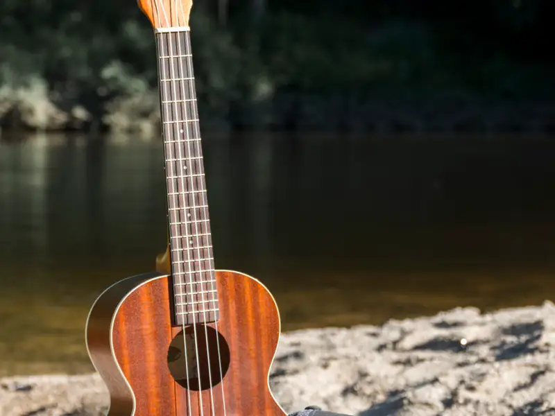 De ce muzica este un factor important pentru ambientul din casă