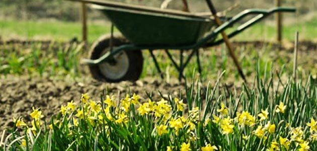 Lucrari pentru luna aprilie in gradina si livada