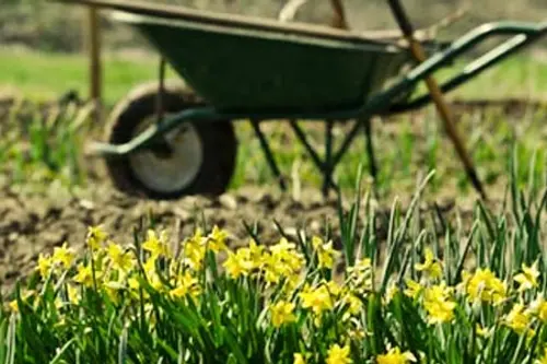 Lucrari pentru luna aprilie in gradina si livada
