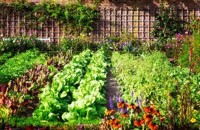 Trends in Outdoor Design