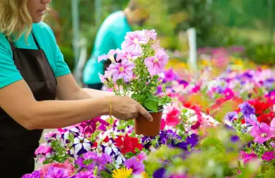 Raised Flower Beds or Colorful Planters for a Unique Look