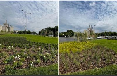 Lucrările de amenajare a spațiului verde de la Piața Presei Libere s-au încheiat