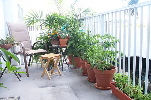 Cum sa iti faci gradina in balcon