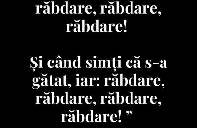 Mihai Tudose clarifică situația din PSD: „Nu s-a stabilit candidatul”