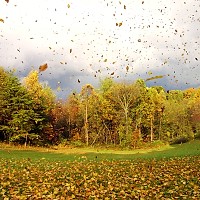 Prognoza meteo, 11 octombrie. Weekend cu vreme instabilă: ploi, rafale de vânt și ceață pe alocuri